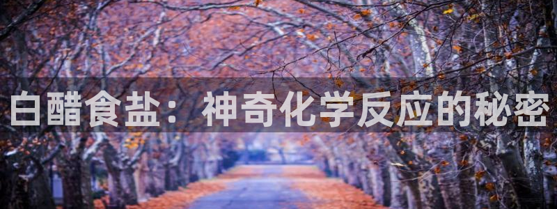 威九国际免费游戏