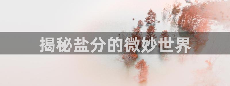 威九国际66mm66