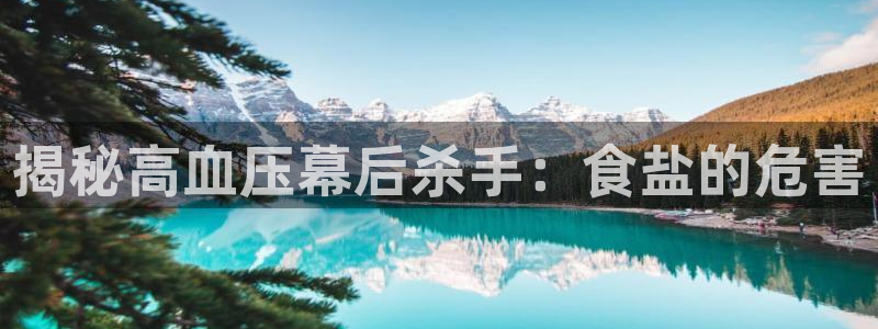 威九国际免费版