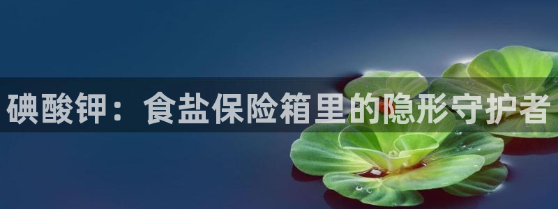 威九国际客服电话是多少
