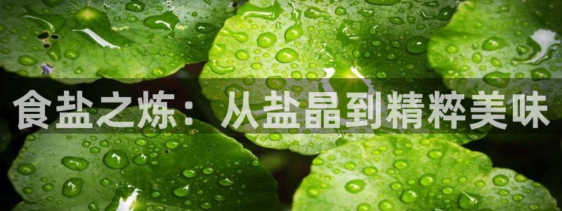78mapp威九国际官网版