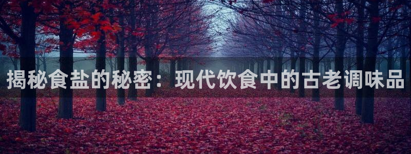 威九国际HP
