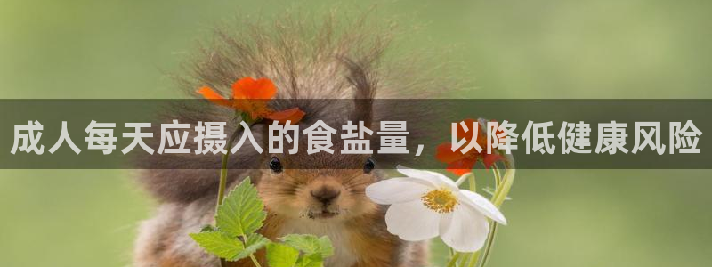 威九国际女主角