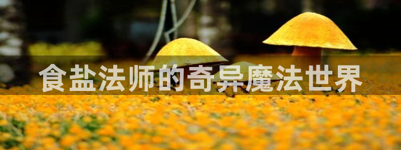 威九国际的演员