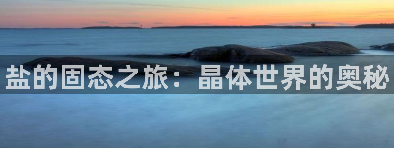 威九国际fX8x