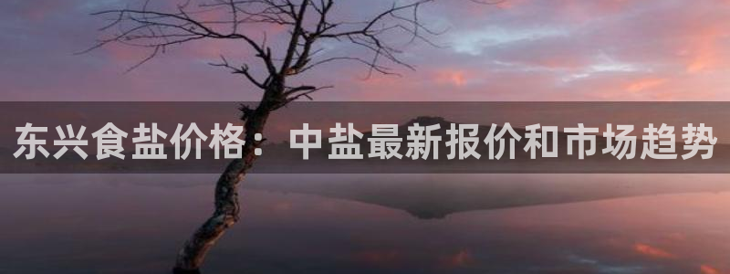 威九国际网站怎么样