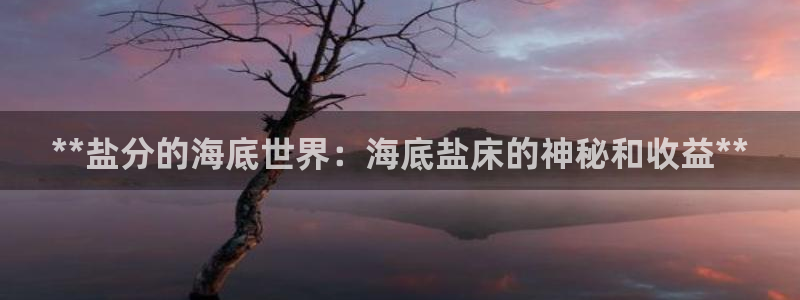 威九国际vA9618