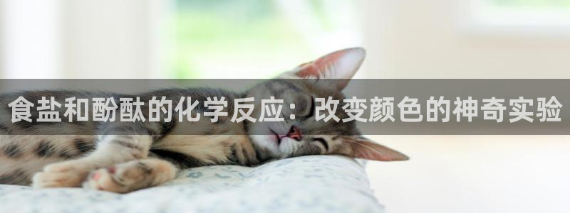 威九国际78mob游戏亮点