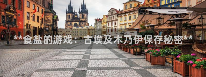 威九国际免费网络站