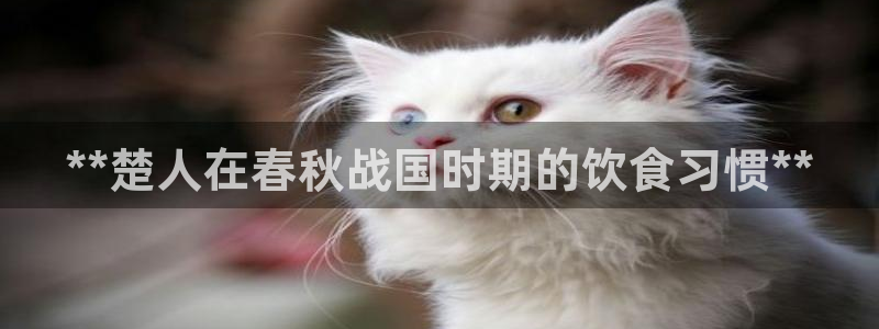 威九国际游戏入口
