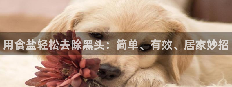 威九国际新