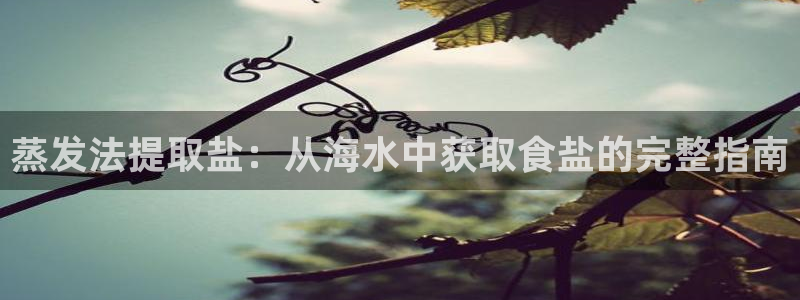 威九国际app客服电话多少