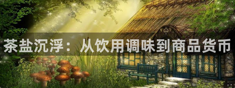 威九国际的金融服务