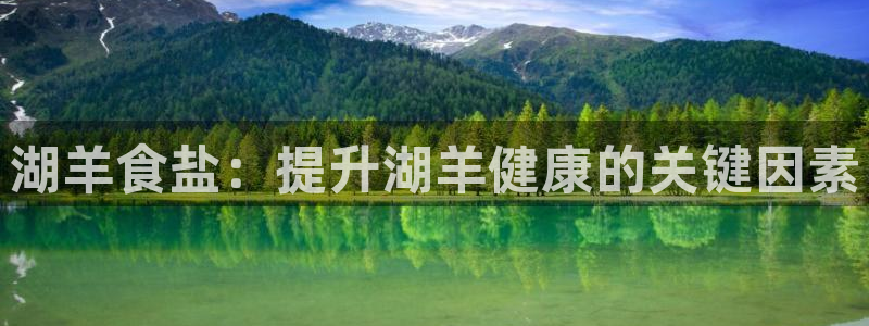 威九国际mm