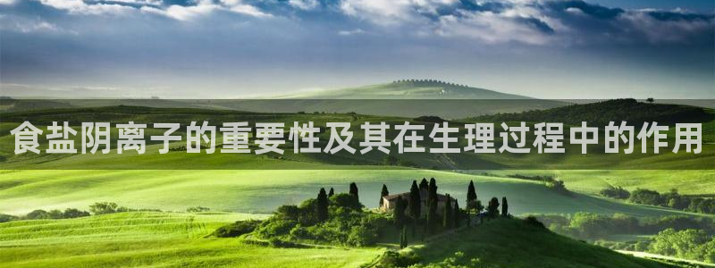 威九国际清砖码头在哪