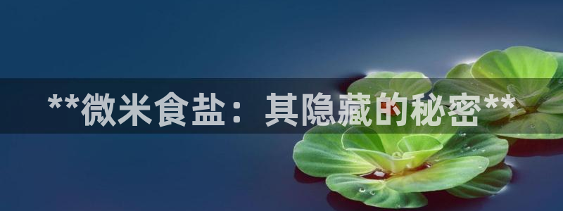 威九国际网站客服电话多少号码