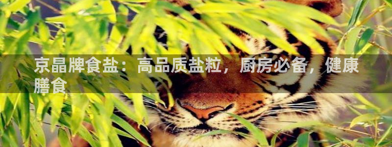 威九国际女神