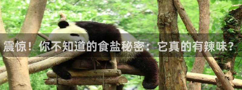 威九国际APP