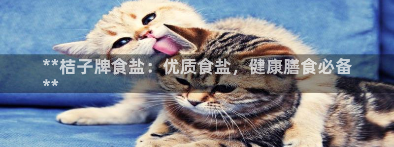 78.m威九国际官网版