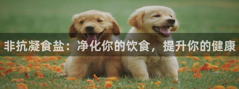 威九国际网站游戏