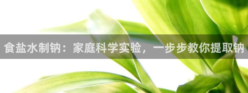 威九国际网站怎么样