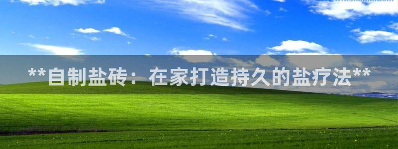 威九国际狂飚电影