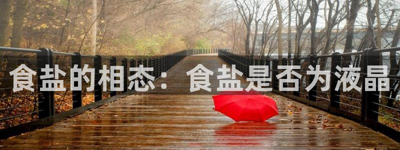威九国际旗下艺人