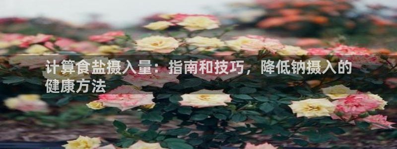 威九国际客服电话号码