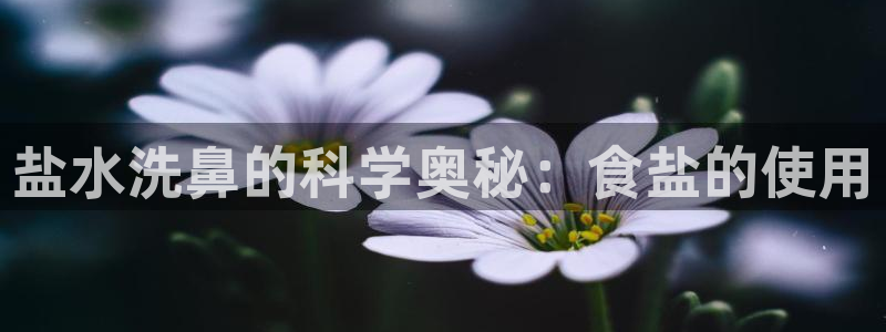 威九国际安全吗的认证团队