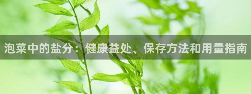 威九国际视频传媒招聘