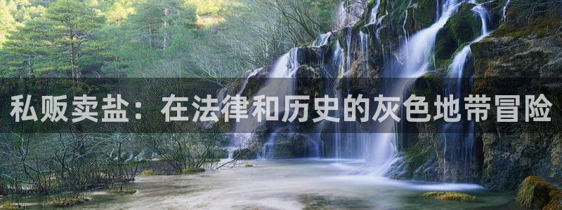 威九国际软件公司简介