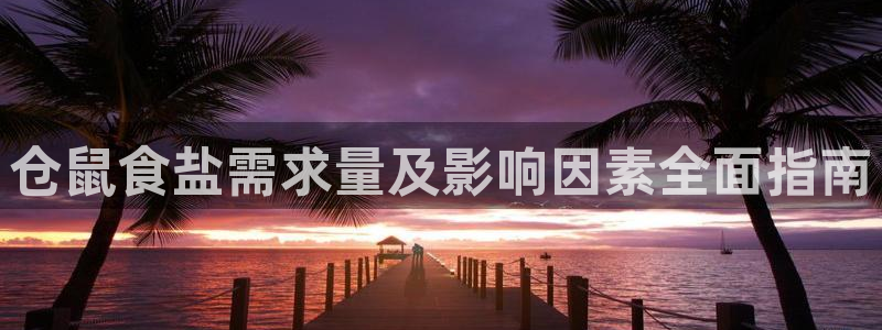 威九国际的女主
