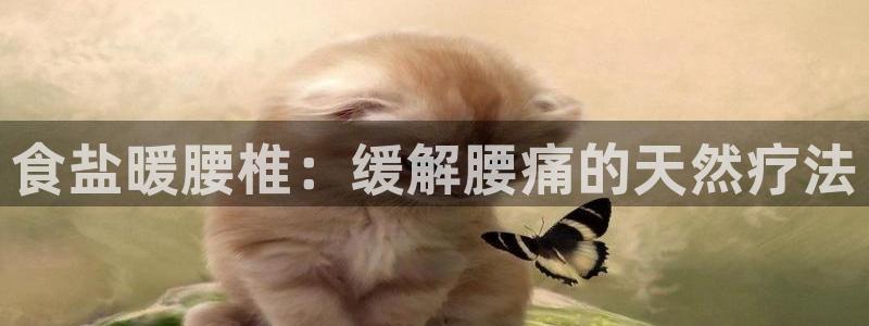 威九国际网站怎么样