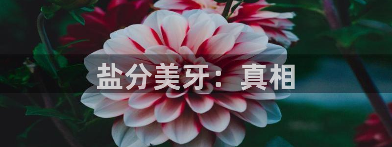 威九国际特殊奖励