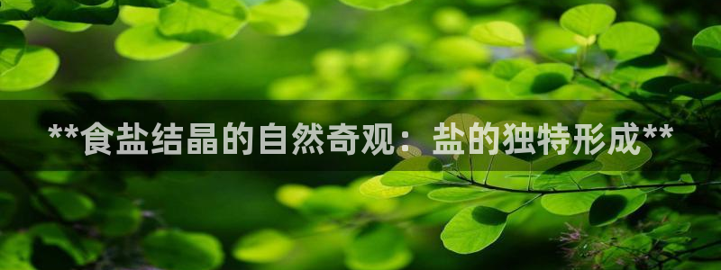威九国际在线平台怎么样啊