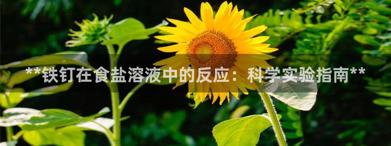 威九国际官方入口