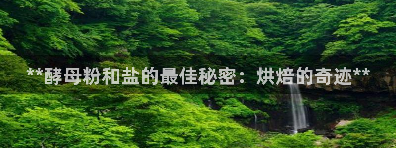威九国际网站经常打不开网页