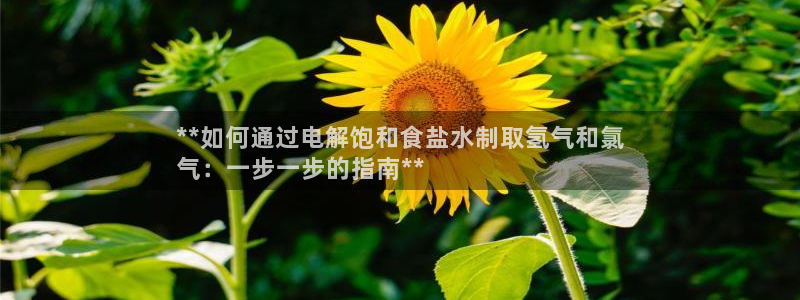 威九国际最新网站