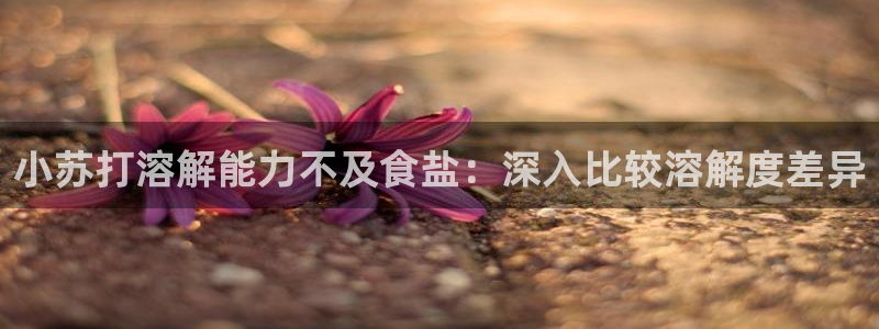 威九国际ppt官网