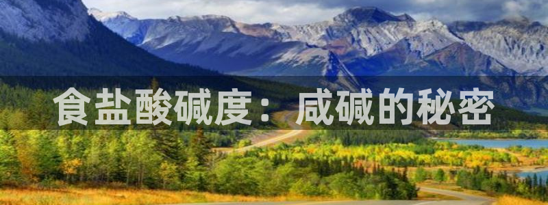 威九国际免费ppt网址