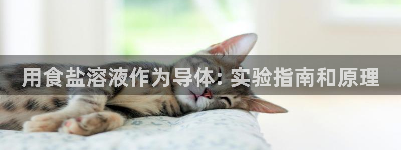 威九国际免费v5.5.2新版本特性