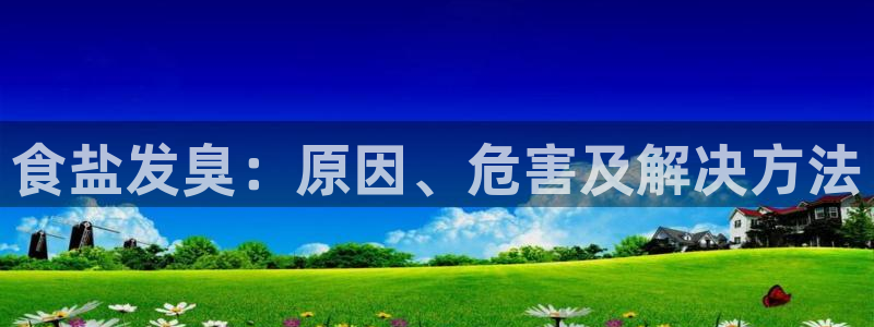 威九国际小说