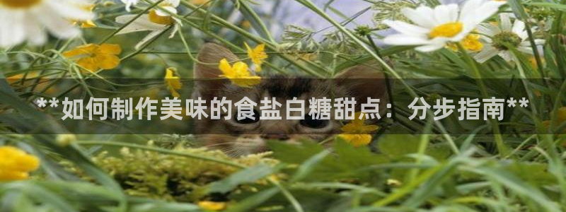 威九国际网站入口官网游戏推荐