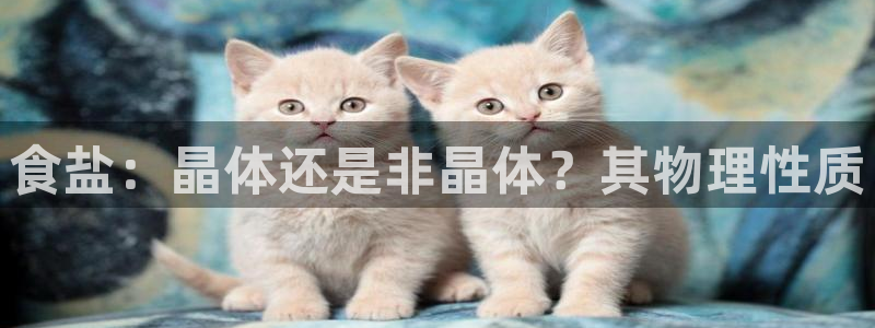 威九国际66在线
