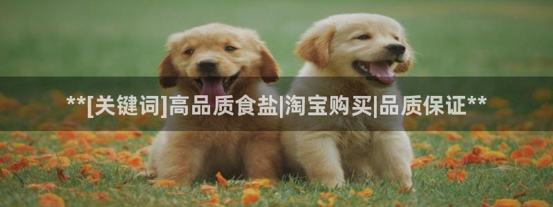 威九国际真人游戏