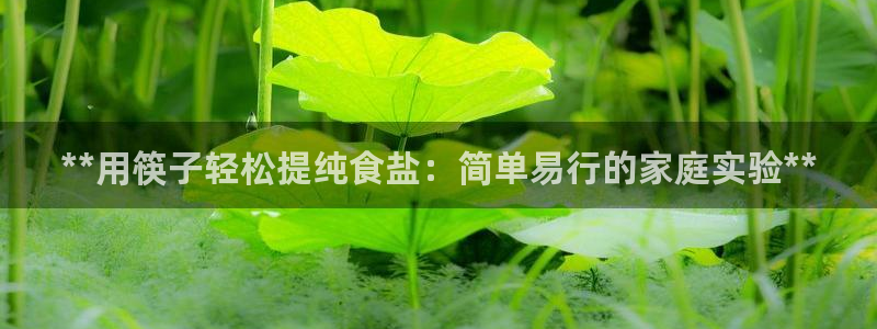 威九国际网站经常打不开