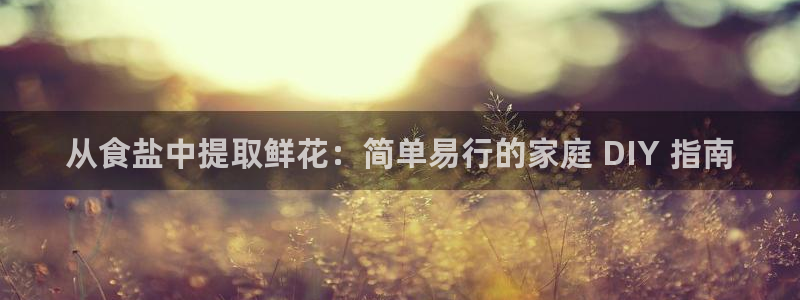 威九国际国精彩片段