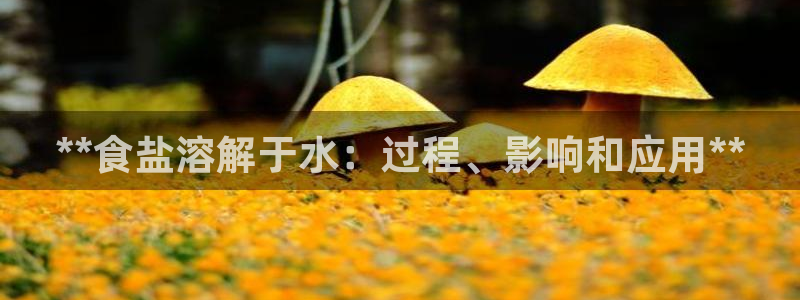 威九国际全国空降