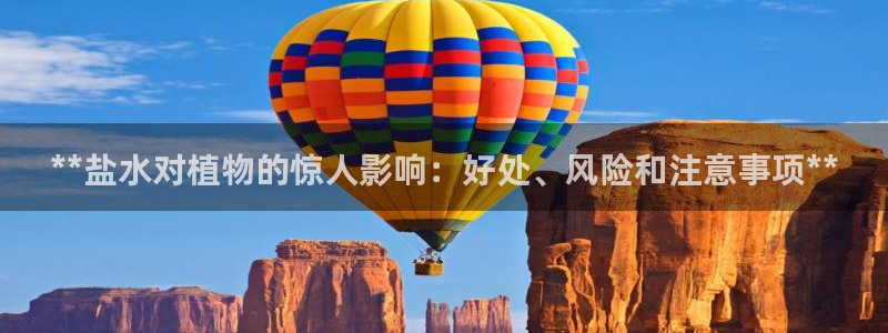 威九国际78mb下载