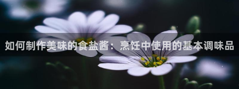 保定威九网络科技有限公司怎么样